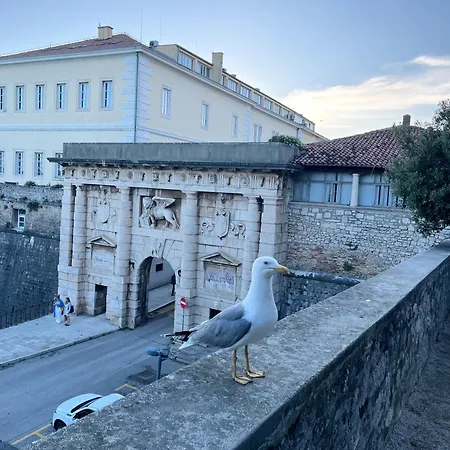 Appartement Luxury Majpruz *